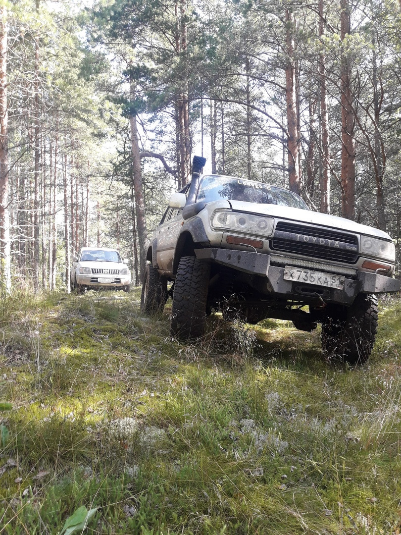 В лесу — Toyota Land Cruiser Prado 90-series
