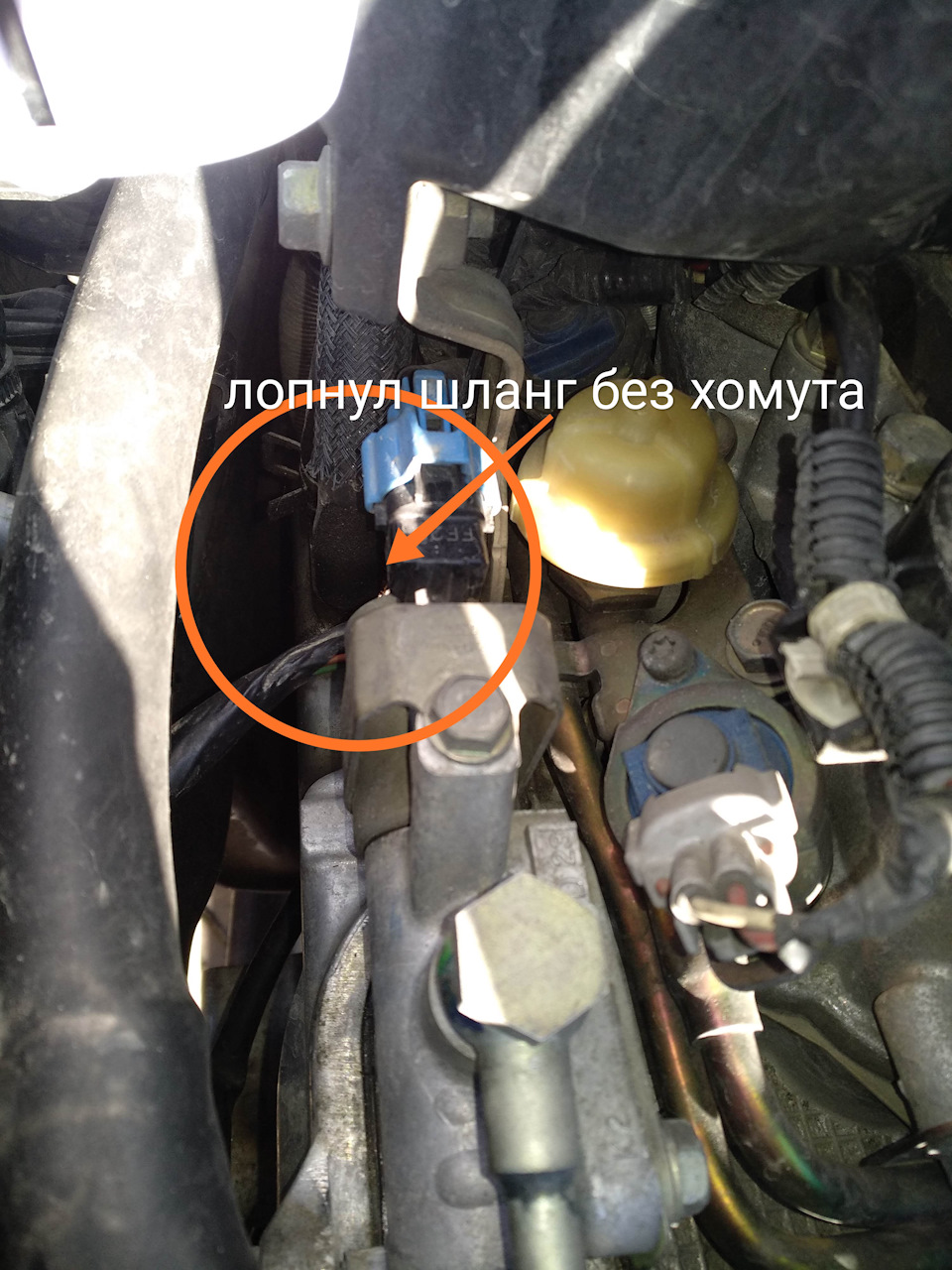 Фото в бортжурнале Subaru Legacy (BL/BP)