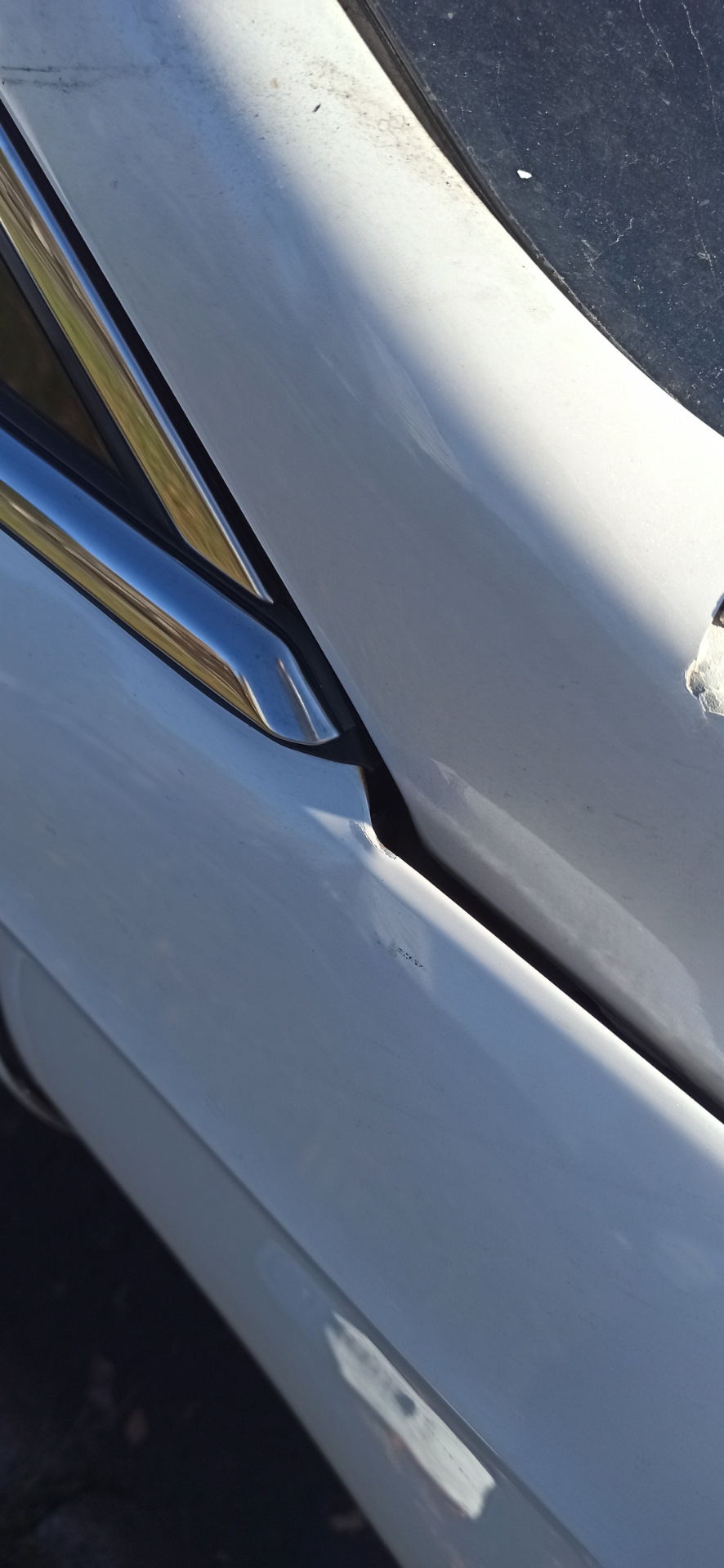 Фото в бортжурнале Ford Fusion (America) (2G)