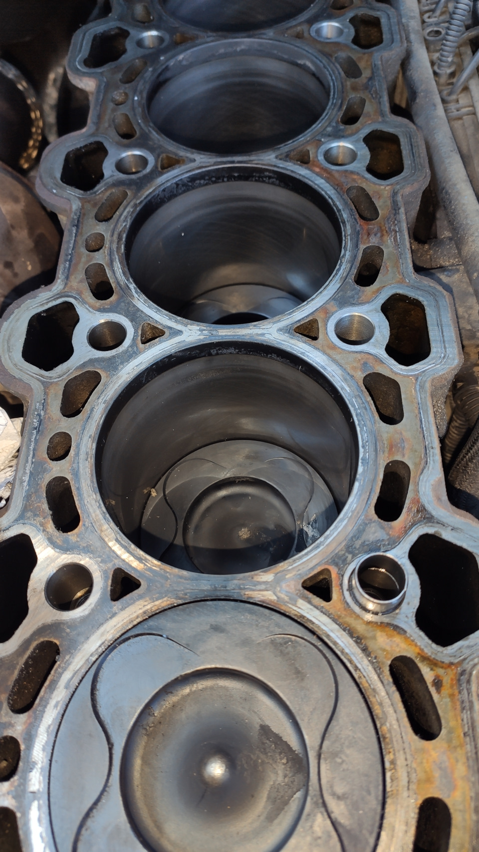 Фото в бортжурнале BMW X5 (E53)