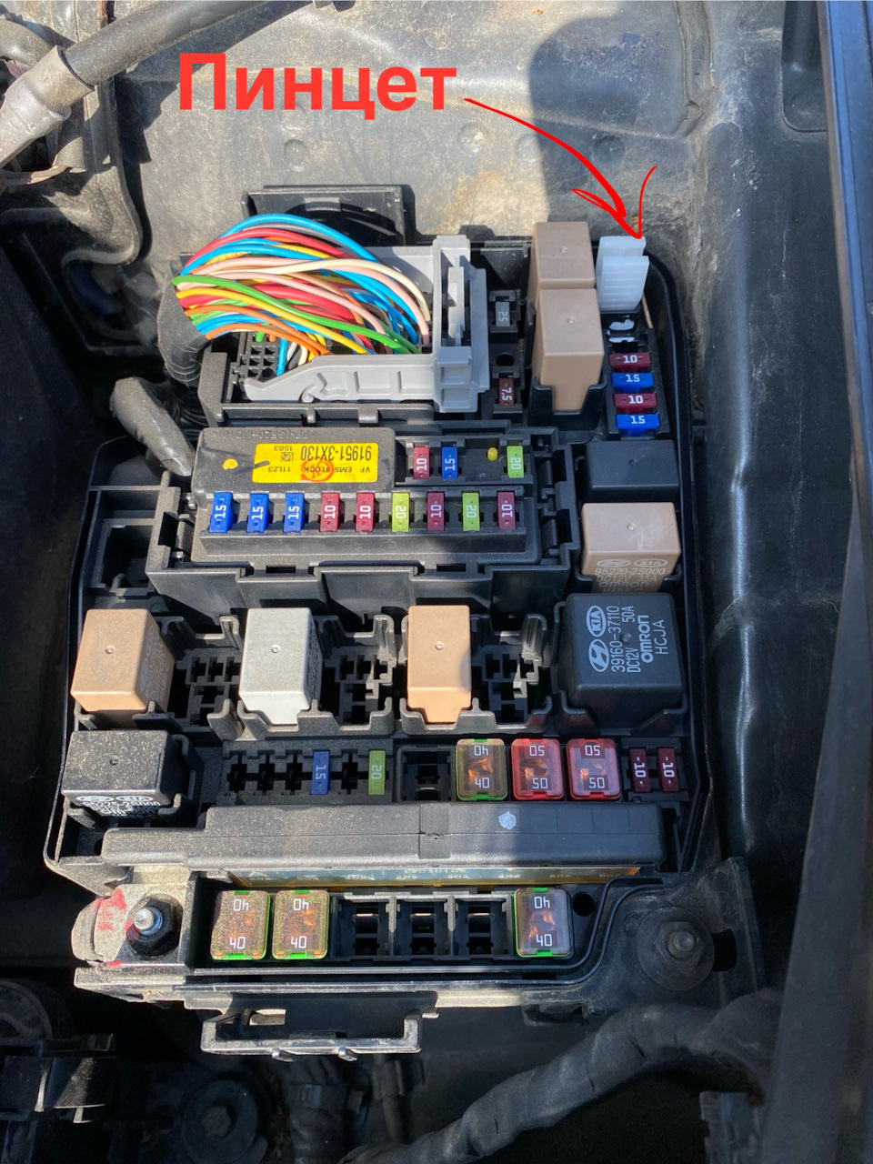 Фото в бортжурнале KIA Ceed (2G)