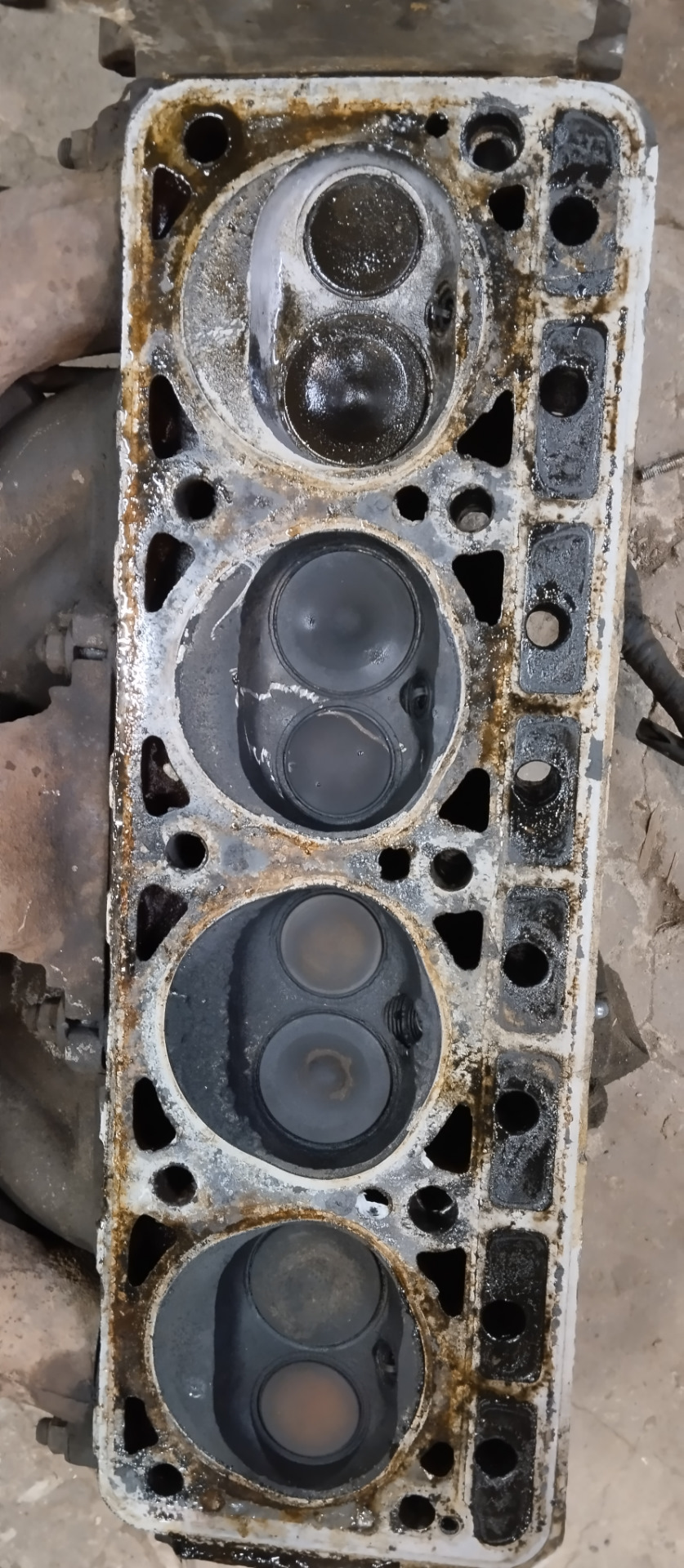 Фото в бортжурнале ГАЗ 24