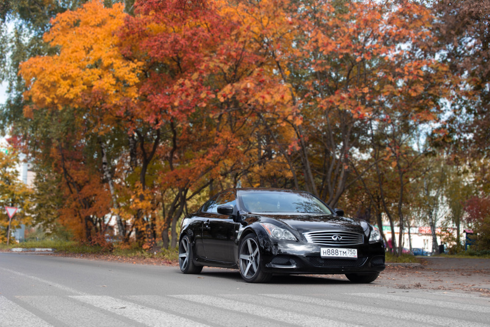 Фото в бортжурнале Nissan Fairlady (Z32)