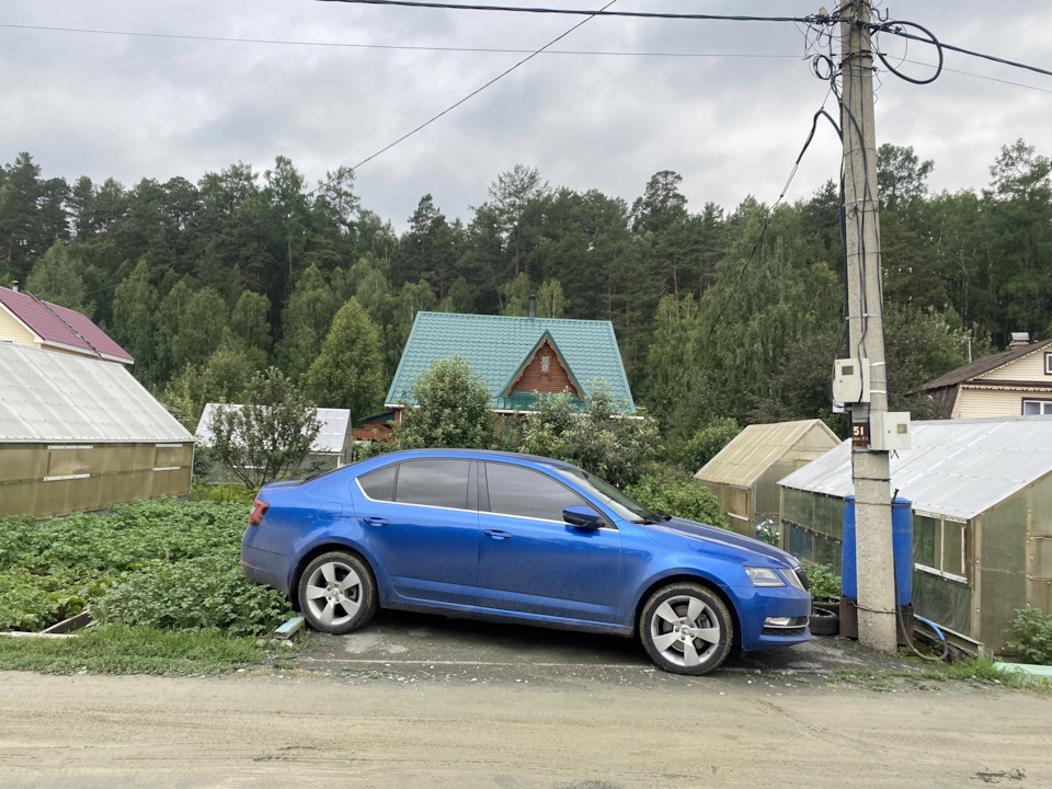 Фото в бортжурнале Skoda Octavia A7 Mk3