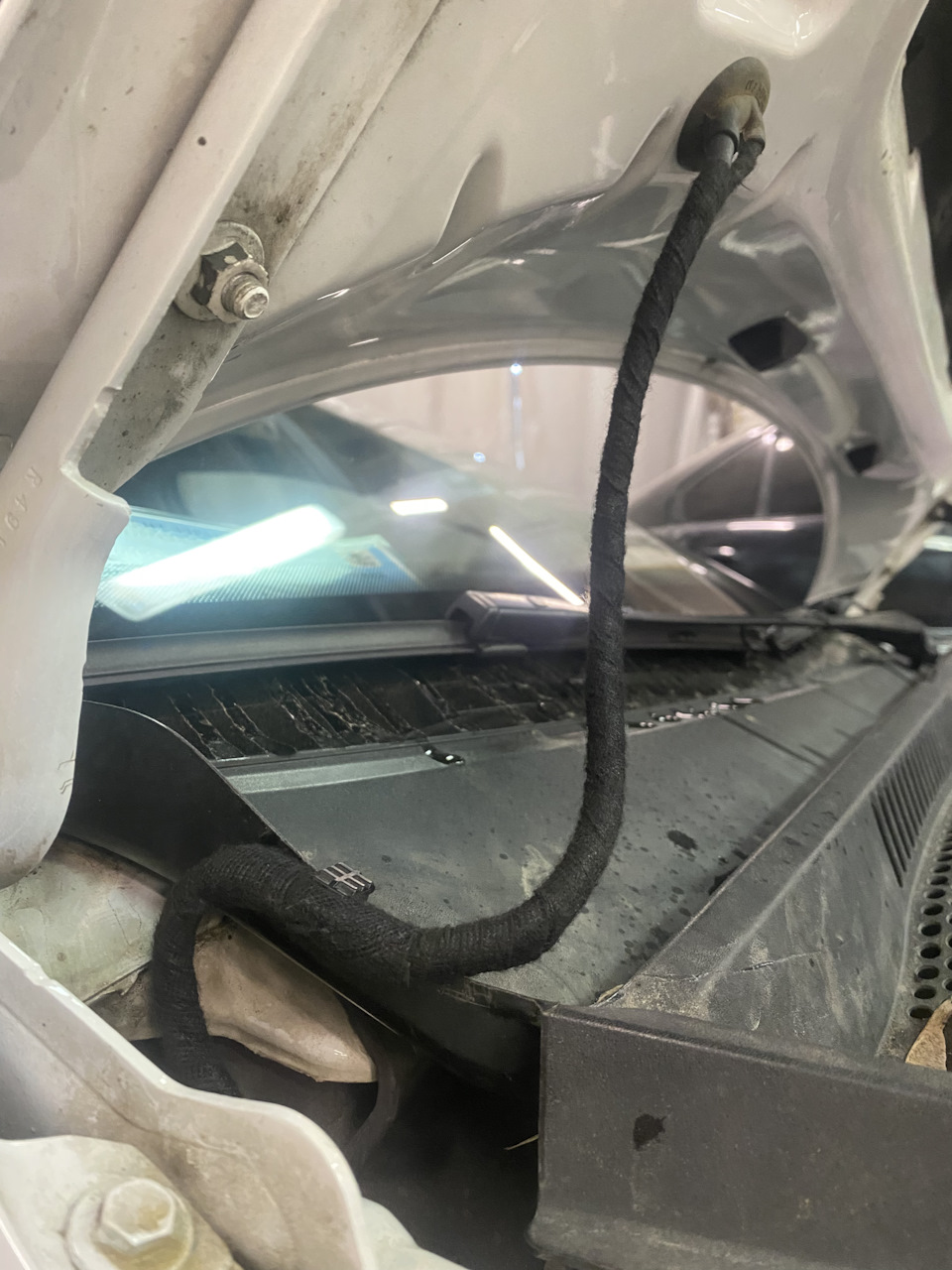 Фото в бортжурнале Volkswagen Jetta VI