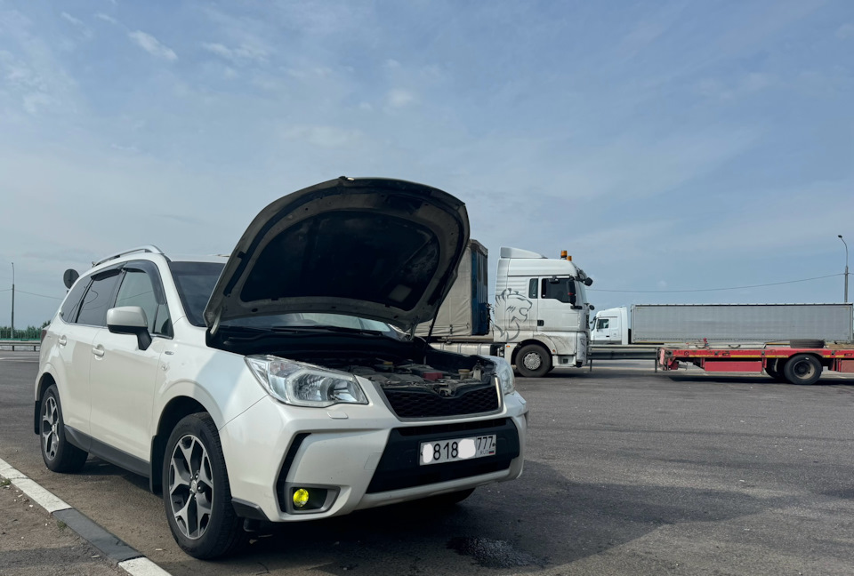 Масло очень странный предмет (с) — Subaru Forester (SJ)