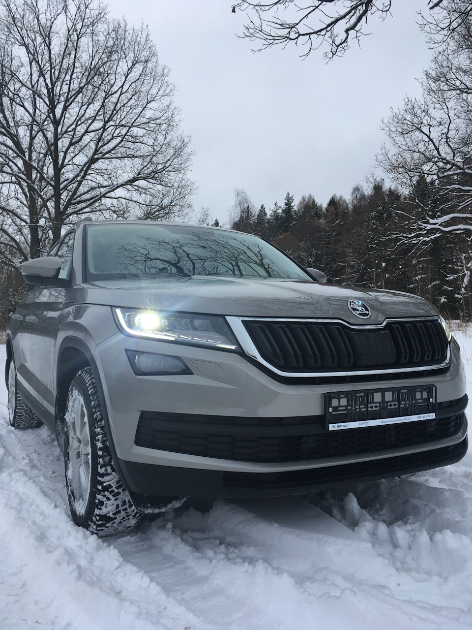 Фото в бортжурнале Skoda Kodiaq (1G)
