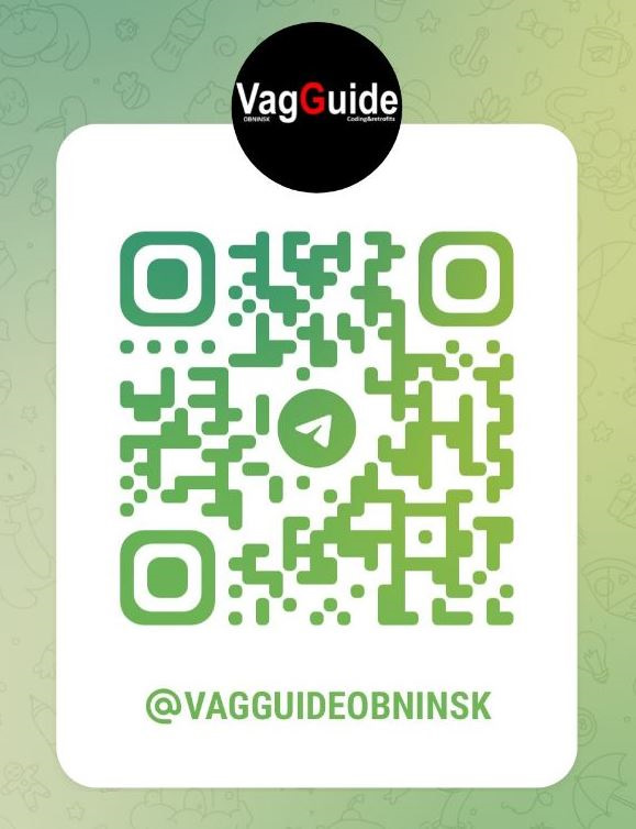 VAGGUIDE OBNINSK — Volkswagen Tiguan (1G)