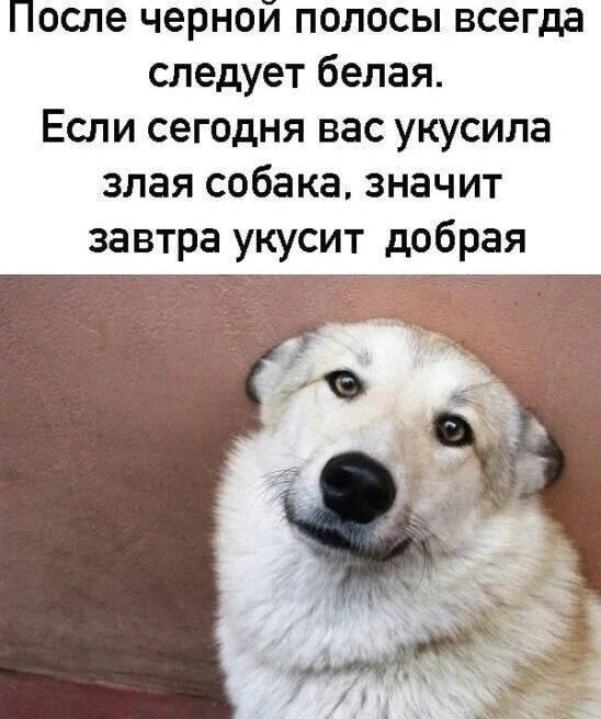 И побольше позитива…) — Lada Vesta SW Cross (NG)