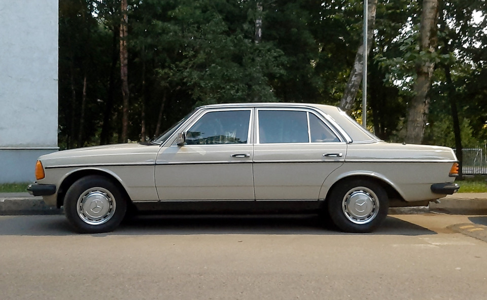 Фото в бортжурнале Mercedes-Benz W123