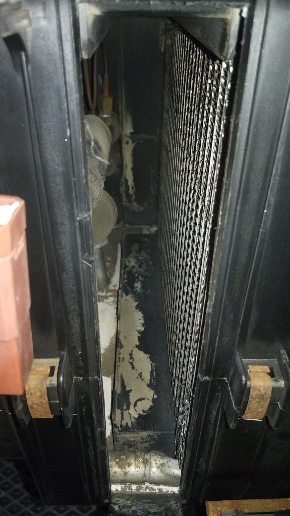 Фото в бортжурнале Honda Avancier (1G)