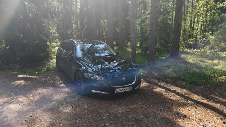 Фото в бортжурнале Jaguar XF (2G)