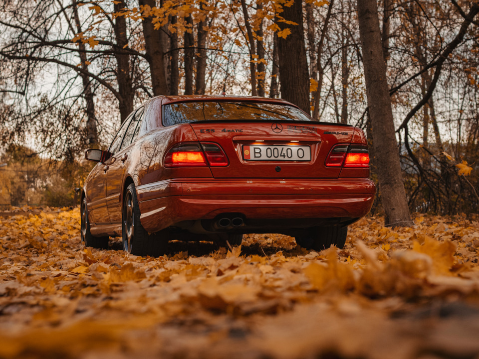 Фото в бортжурнале Mercedes-Benz E-Class (W210)