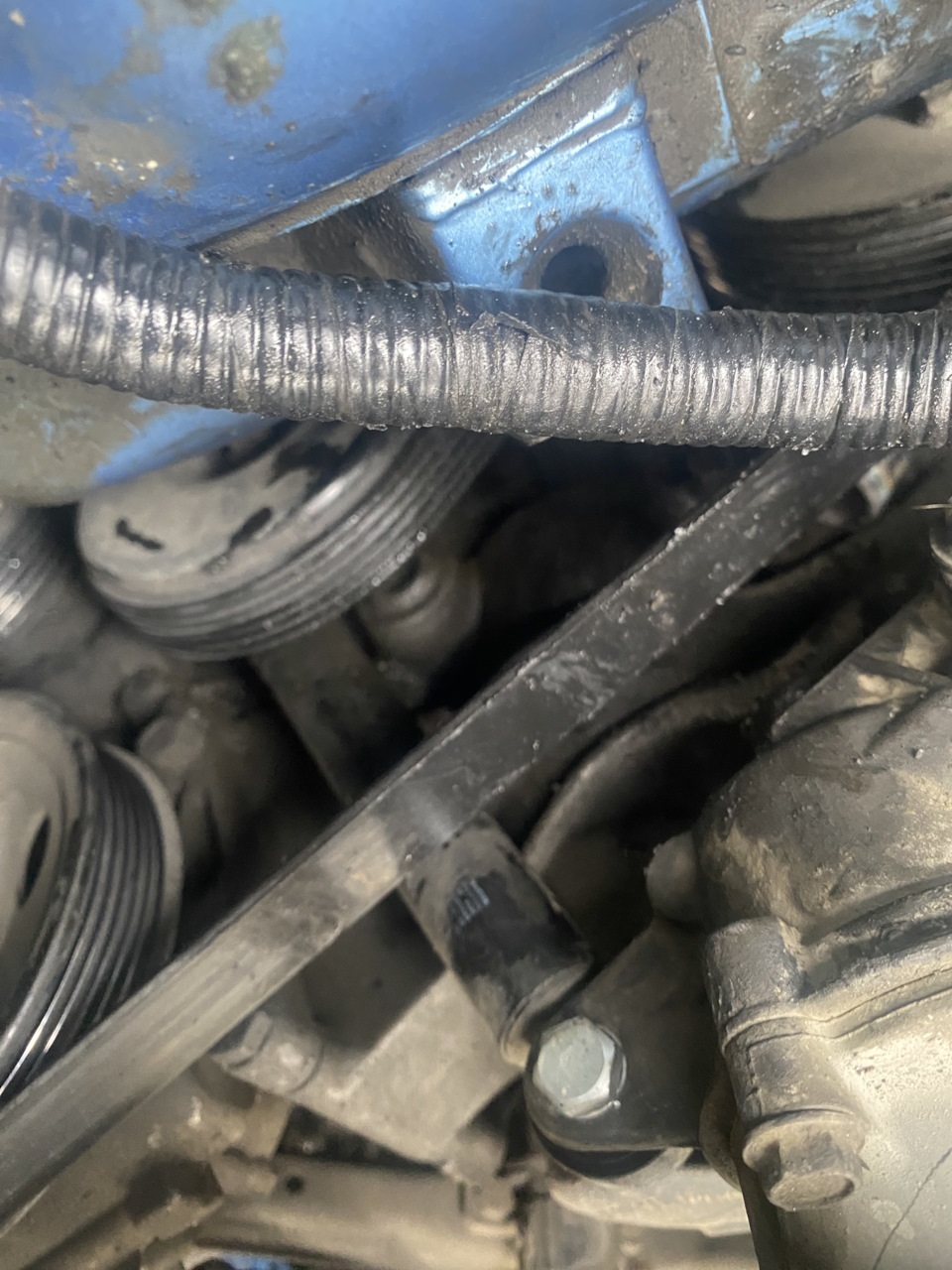 Фото в бортжурнале Mercedes-Benz Vito (1G)