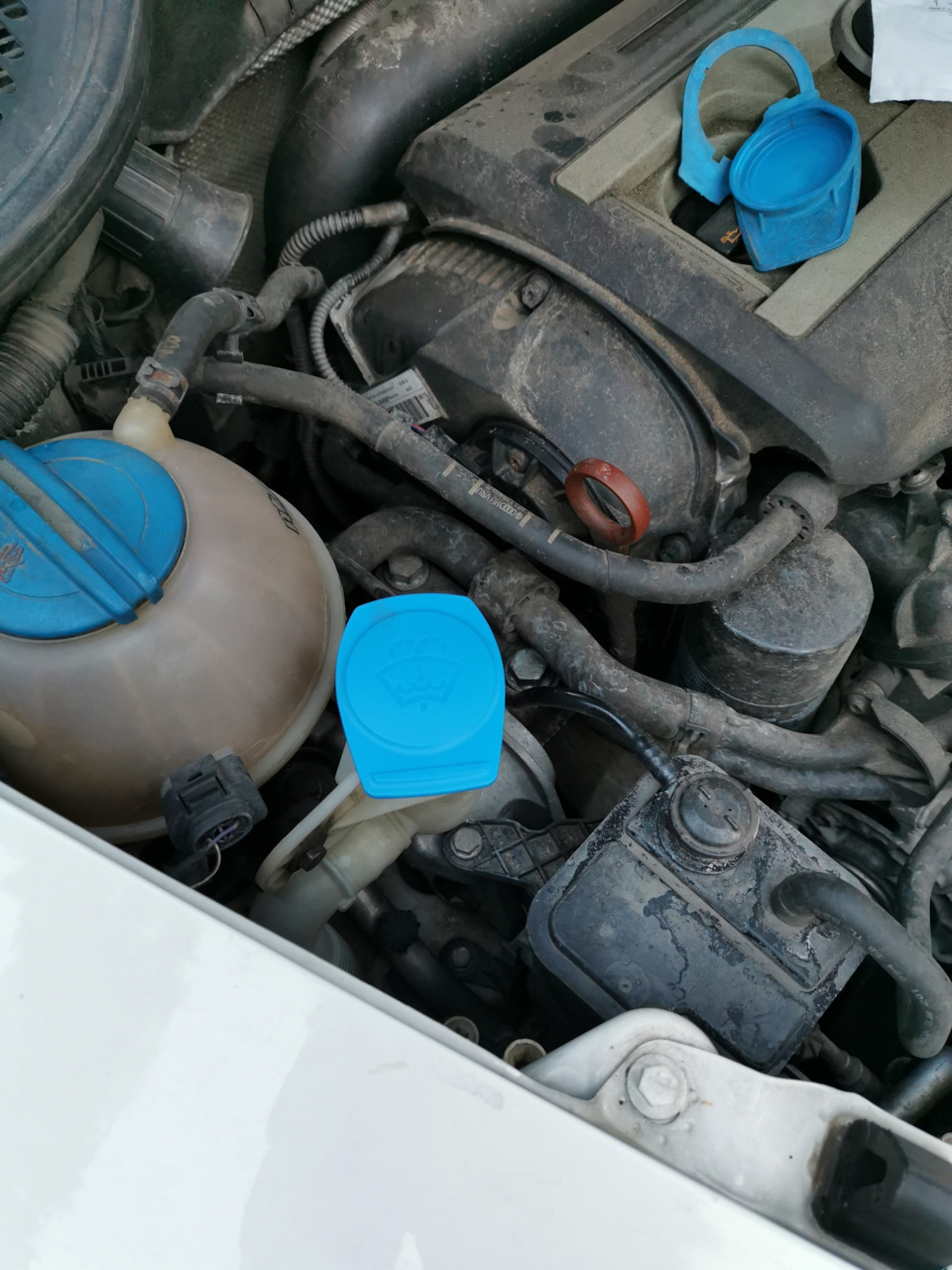 Фото в бортжурнале Skoda Octavia A5 Mk2