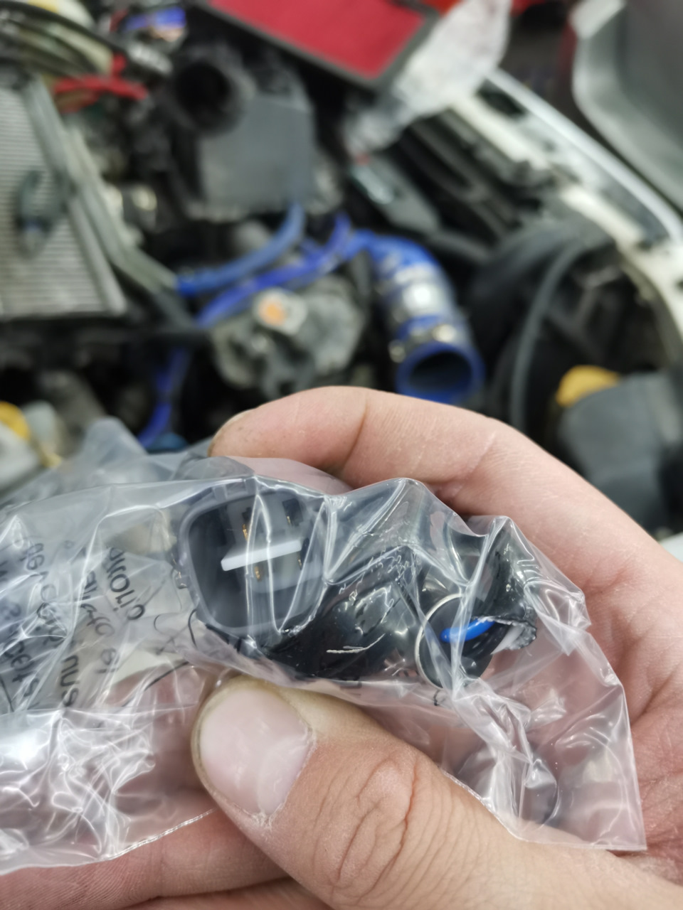 Фото в бортжурнале Subaru Forester (SG)