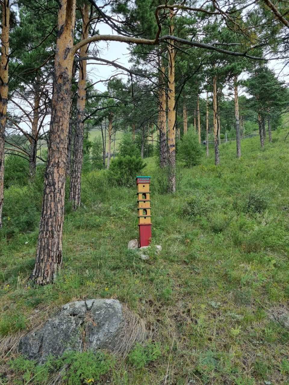 Попадались такие кормушки, изготовленные, если верить надписям на них ГУФСИН России. =)) — Infiniti FX (1G)
