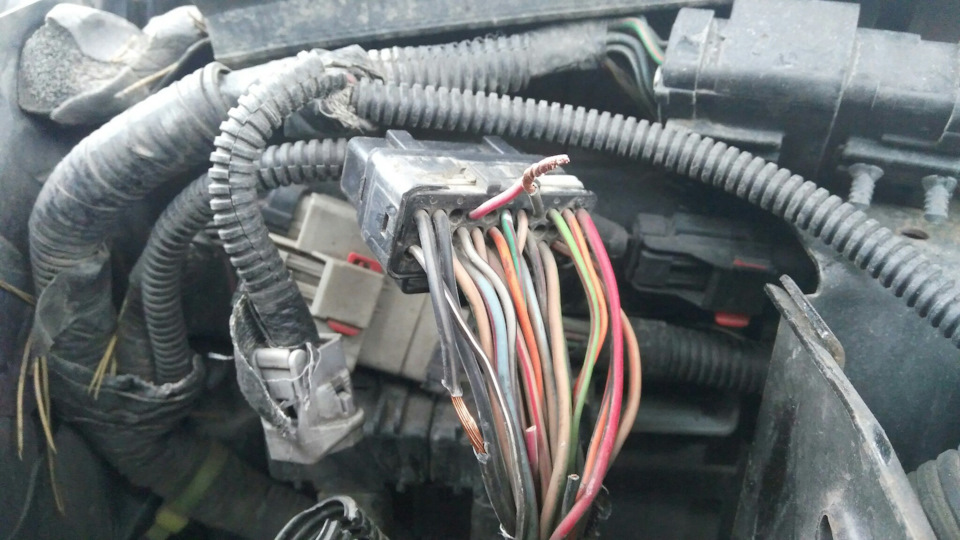Провод 25 и 29 скручены между собой. 31или 32 (масса) оголена — Jeep Grand Cherokee (WJ)