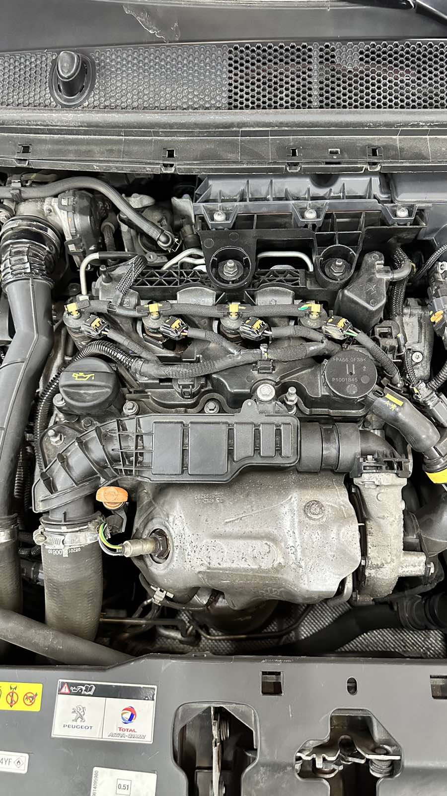 Фото в бортжурнале Peugeot 308 SW (2G)