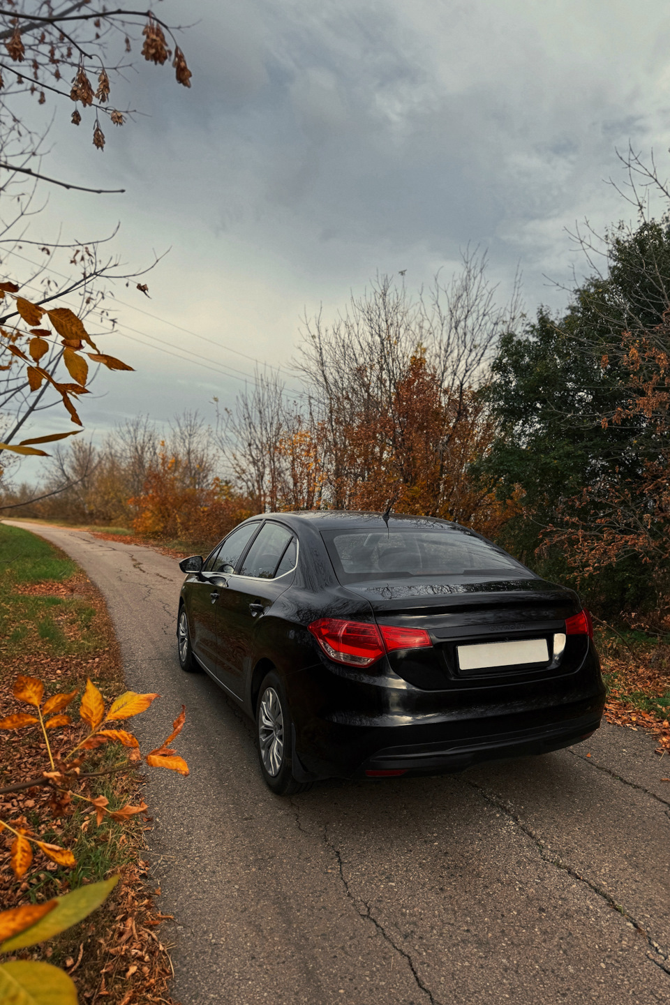 Фото в бортжурнале Citroen C4 L