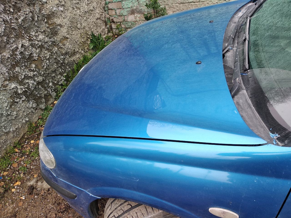 Фото в бортжурнале Nissan Almera II (N16)