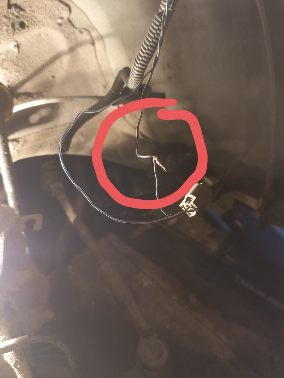 Фото в бортжурнале Opel Corsa D
