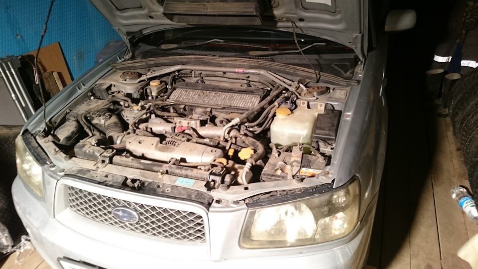А это уже сегодня масло менял — Subaru Forester (SG)
