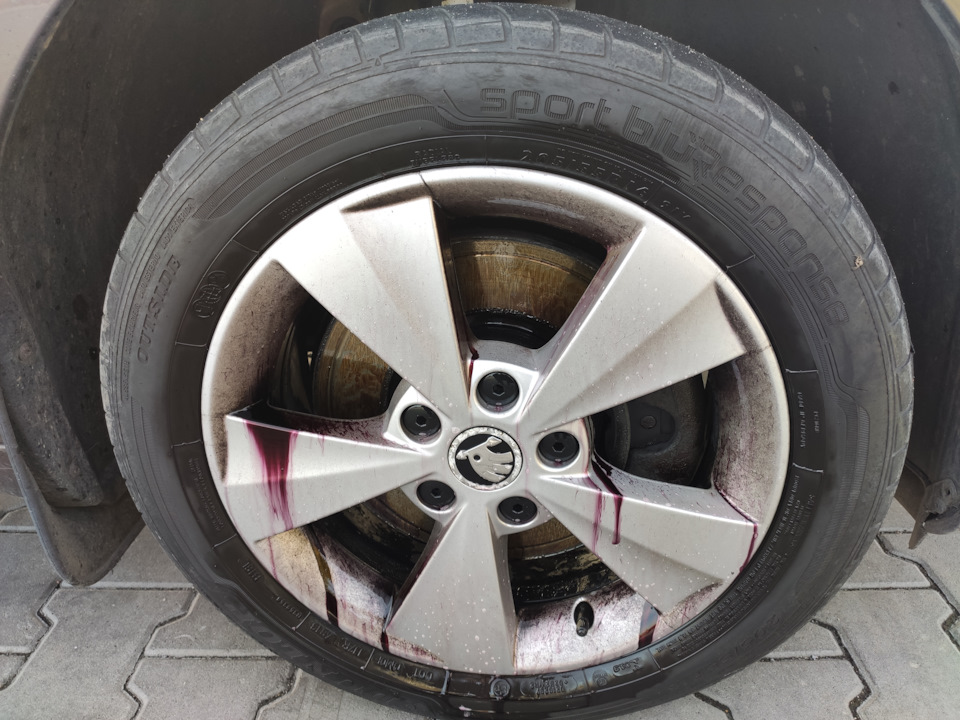 Фото в бортжурнале Skoda Octavia Combi A7 Mk3