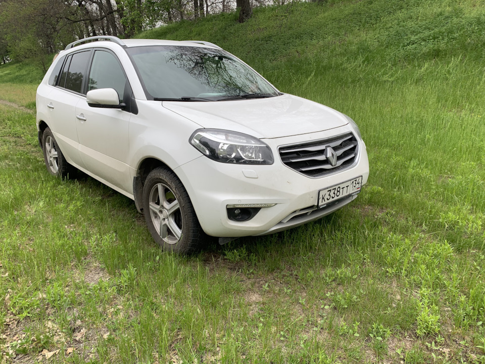 В мае 2023 чесали пузико о травку на Волгоградских лужайках… — Renault Koleos (1G)