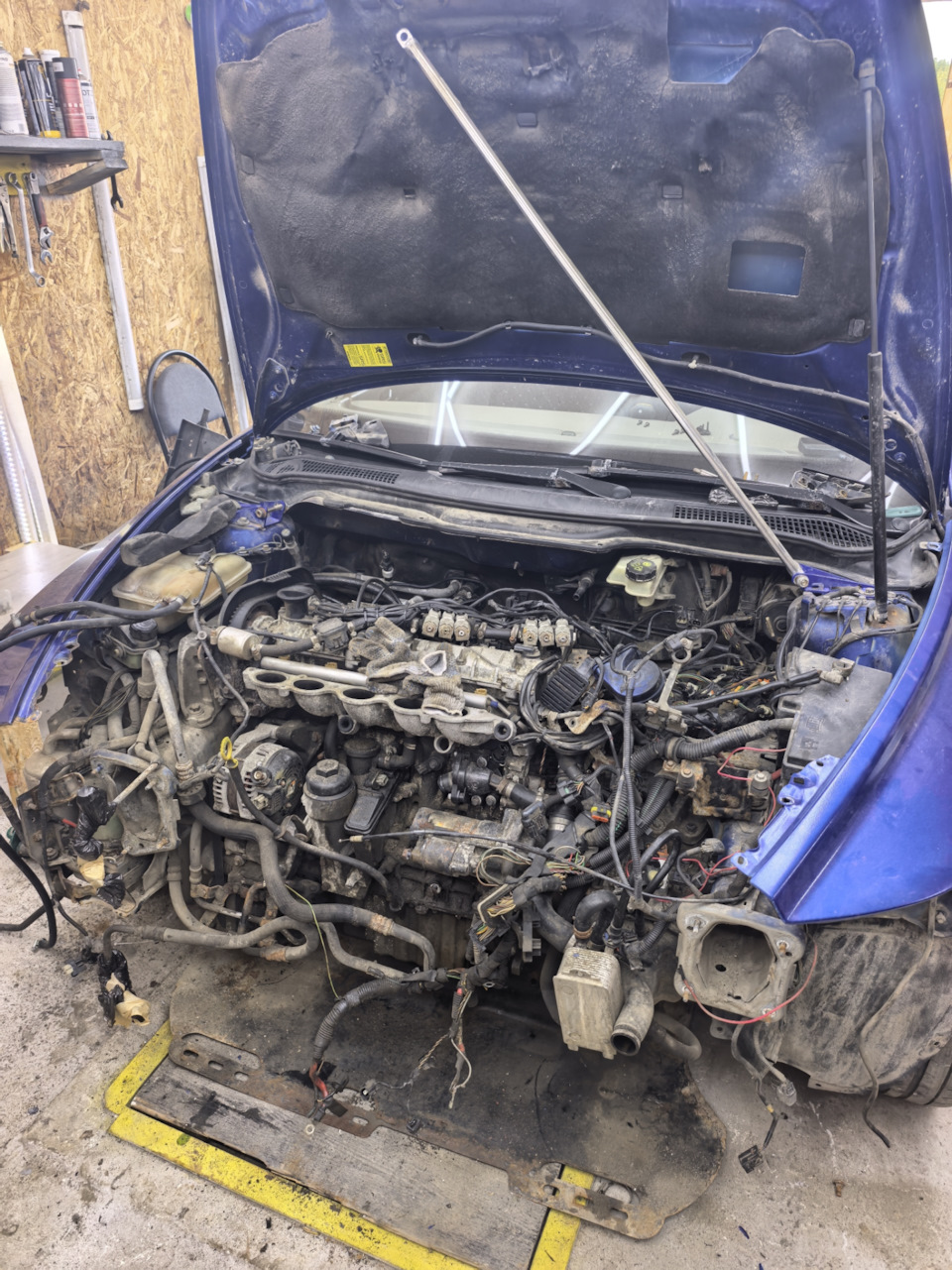 Тут разобрал морду — Volvo S40 (2G)
