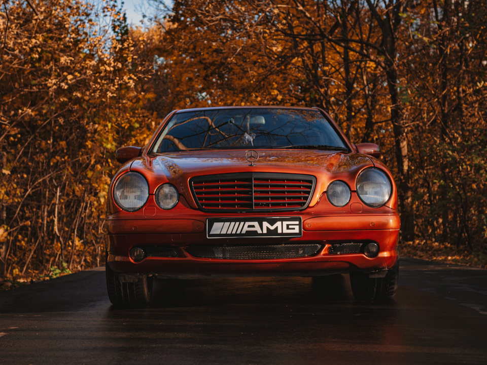 Фото в бортжурнале Mercedes-Benz E-Class (W210)