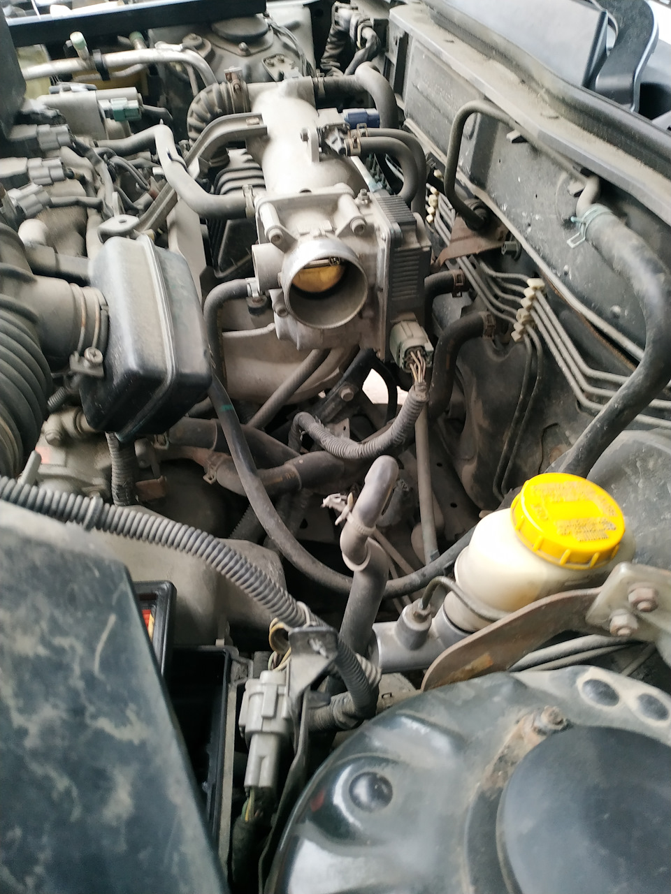 Photo from the logbook Nissan Almera Classic (B10)