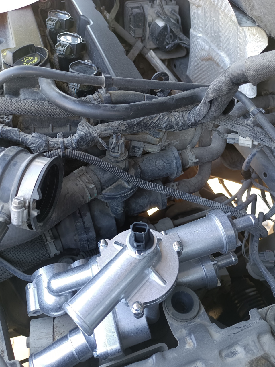 Фото в бортжурнале Dodge Caliber
