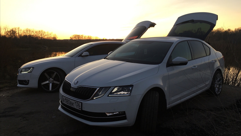 Skoda Octavia #180