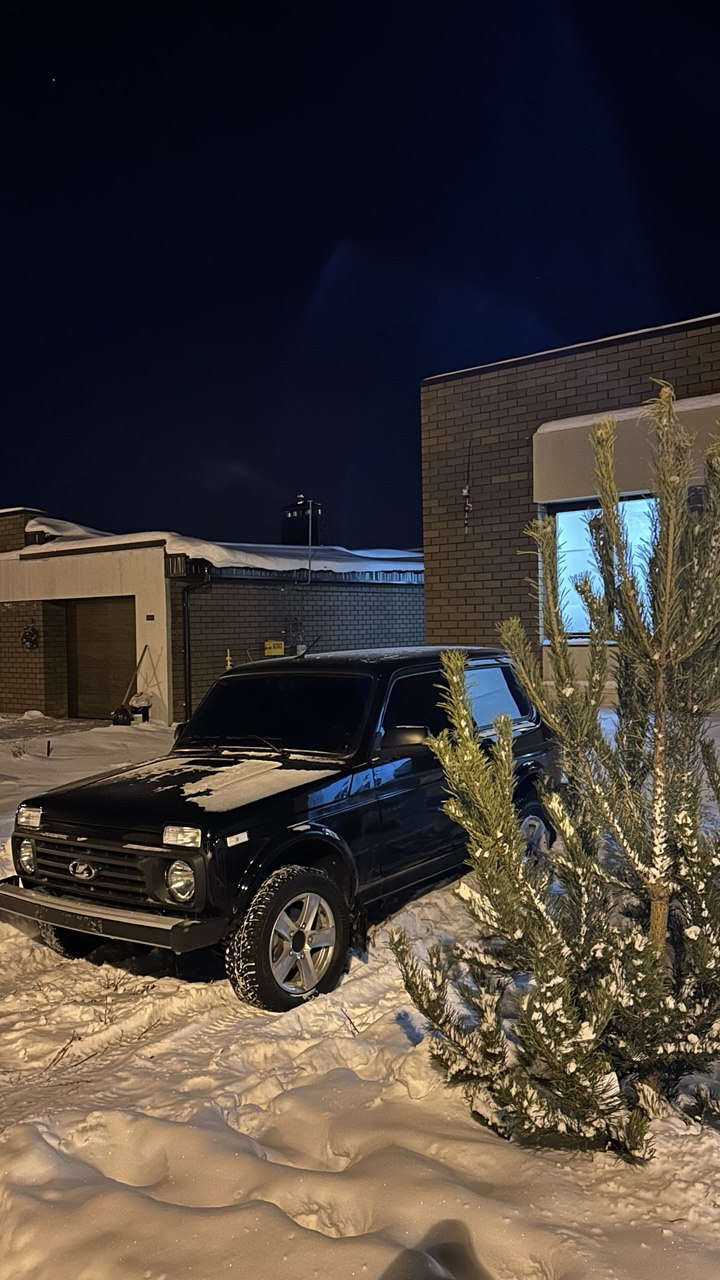 Фото в бортжурнале Lada 4x4 3D
