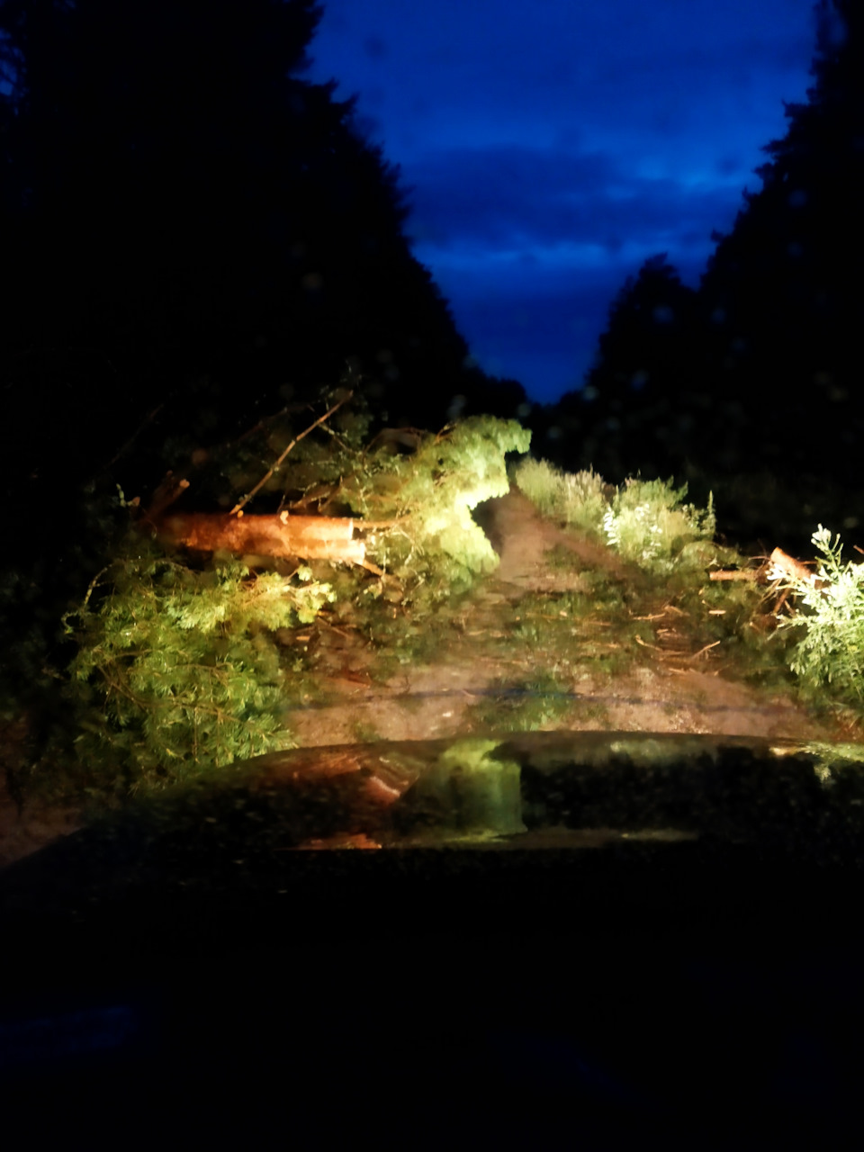 Фото в бортжурнале Chevrolet Niva (1G)