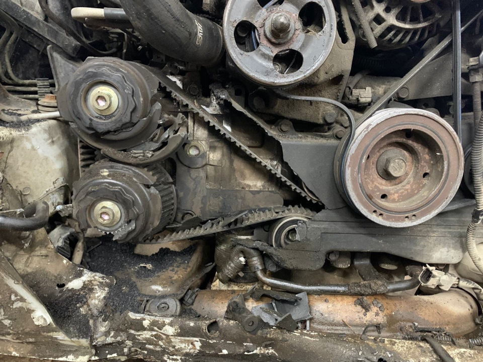 Фото в бортжурнале Subaru Forester (SF)