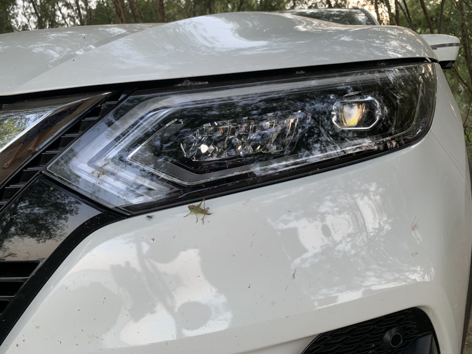 Фото в бортжурнале Nissan Qashqai (2G)