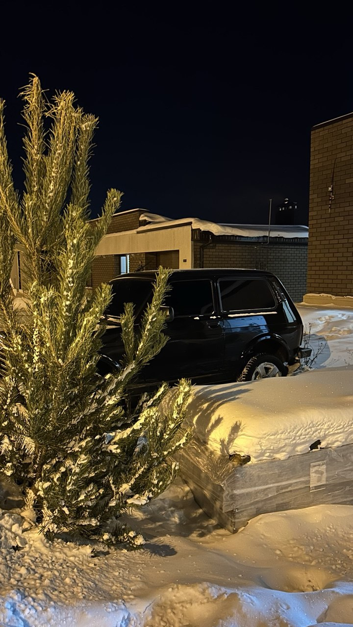 Фото в бортжурнале Lada 4x4 3D