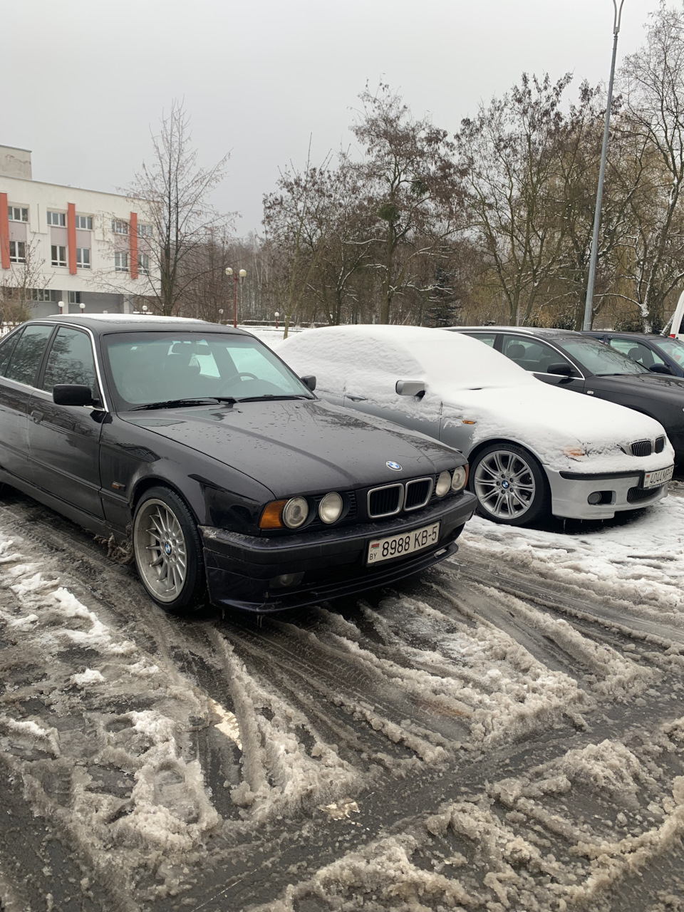 Фото в бортжурнале BMW 3 series (E46)