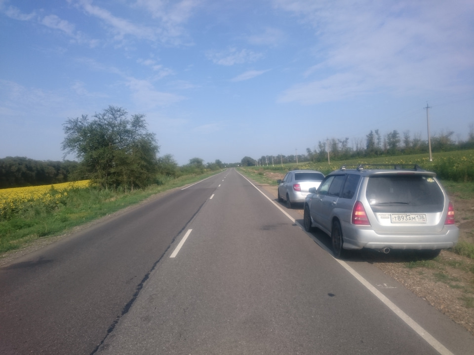 По дороге в Волгоград фоткались в подсолнухах — Subaru Forester (SG)
