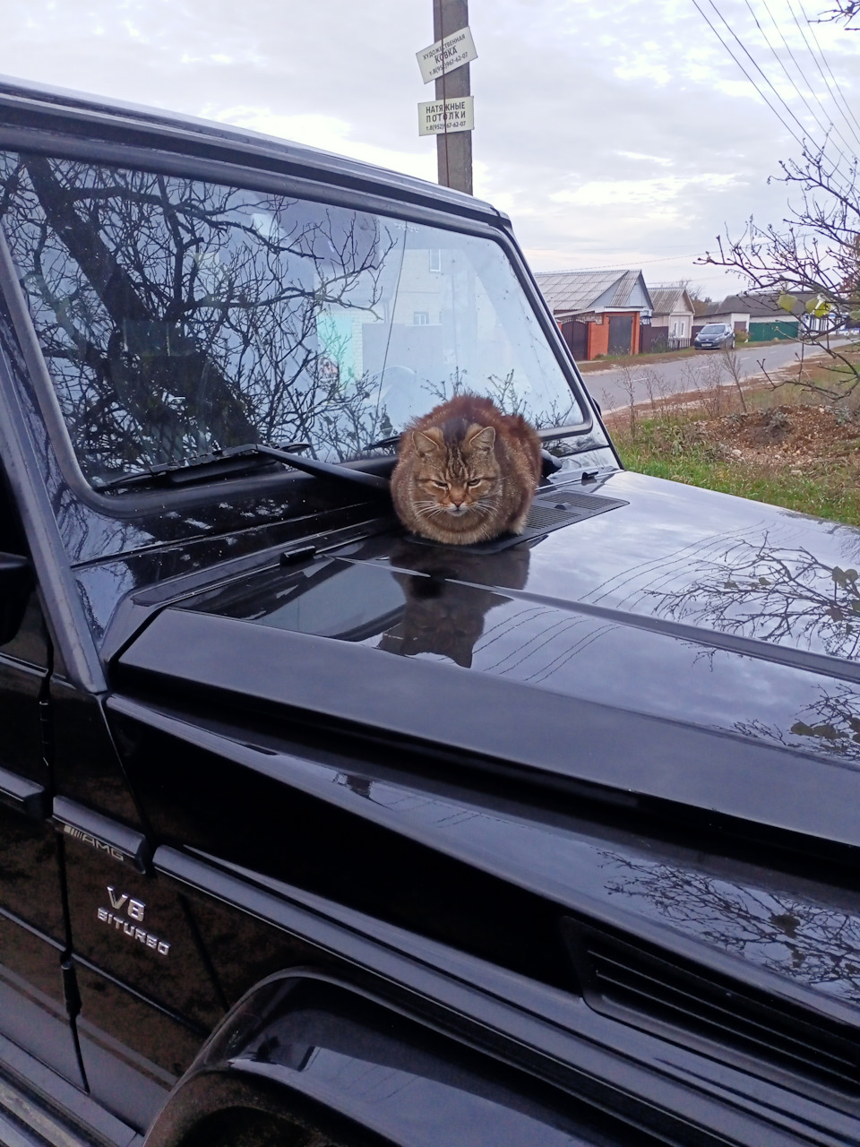 Фото в бортжурнале Land Rover Discovery IV