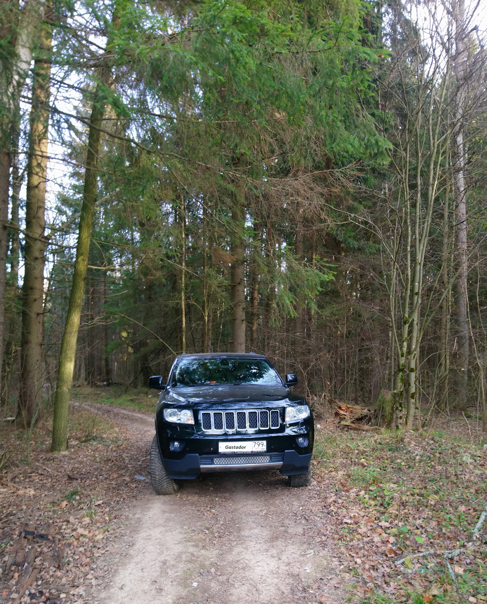 Фото в бортжурнале Jeep Grand Cherokee (WK2)