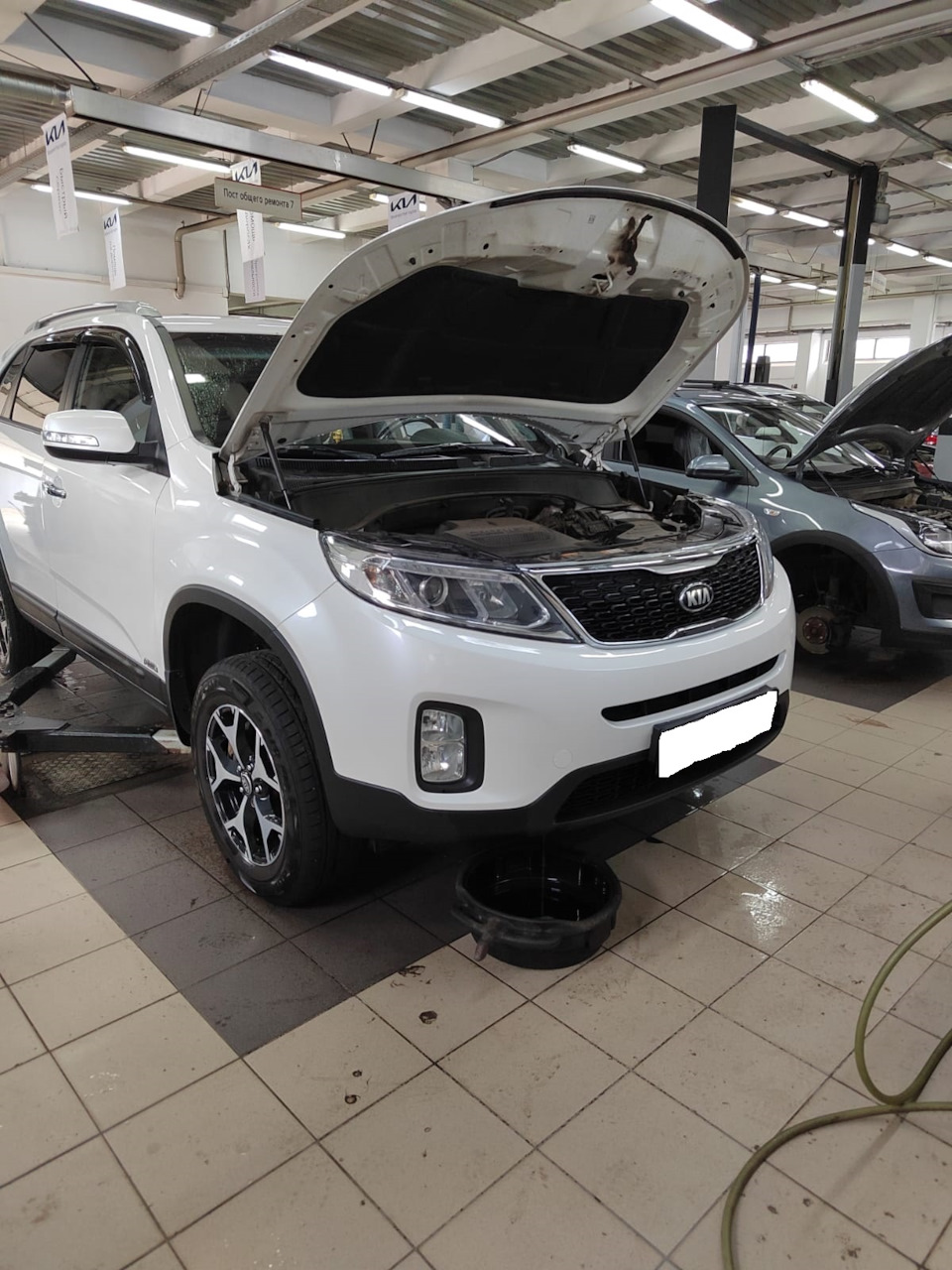 Слив антифриза — KIA Sorento (2G)