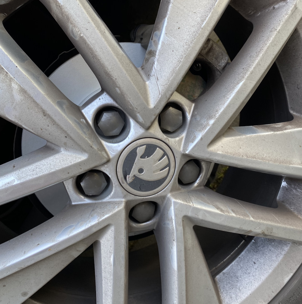Задние малекулы. — Skoda Rapid (1G)