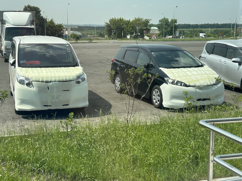 Защищен. — Toyota Esquire