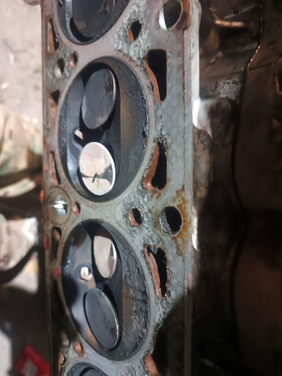 Фото в бортжурнале Lada 4x4 3D