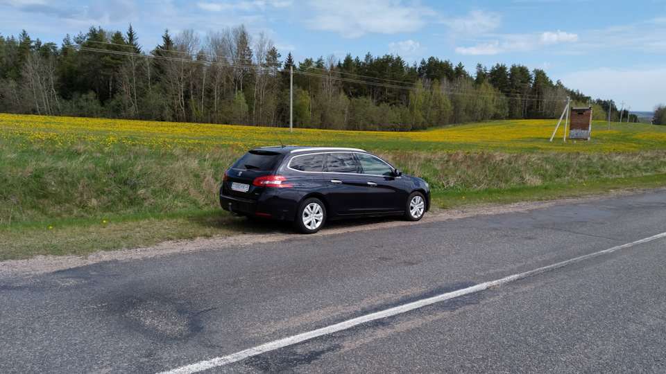 встречайте — Peugeot 308 SW (2G)