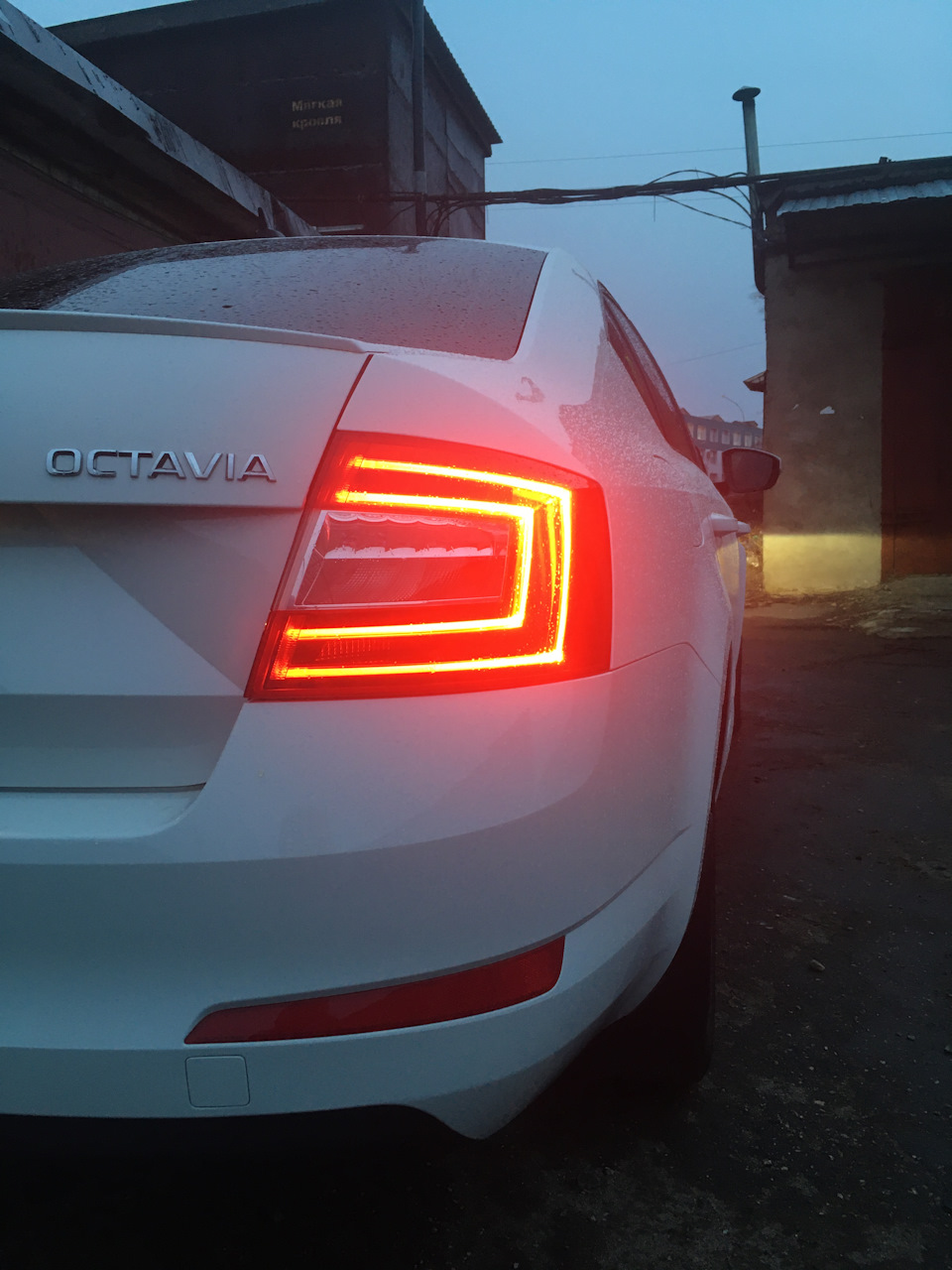 Фото в бортжурнале Skoda Octavia A7 Mk3