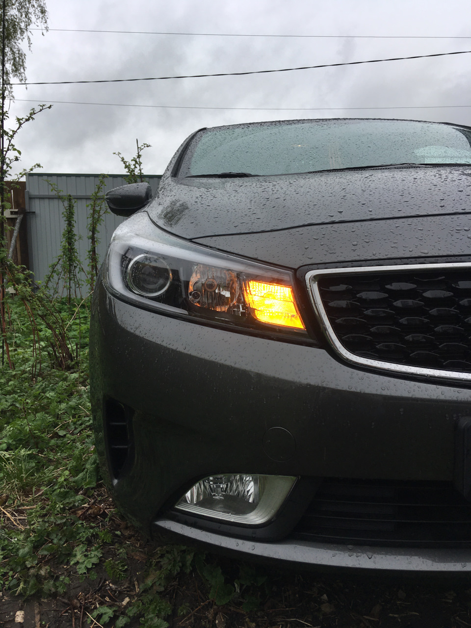 Фото в бортжурнале KIA Cerato (3G)
